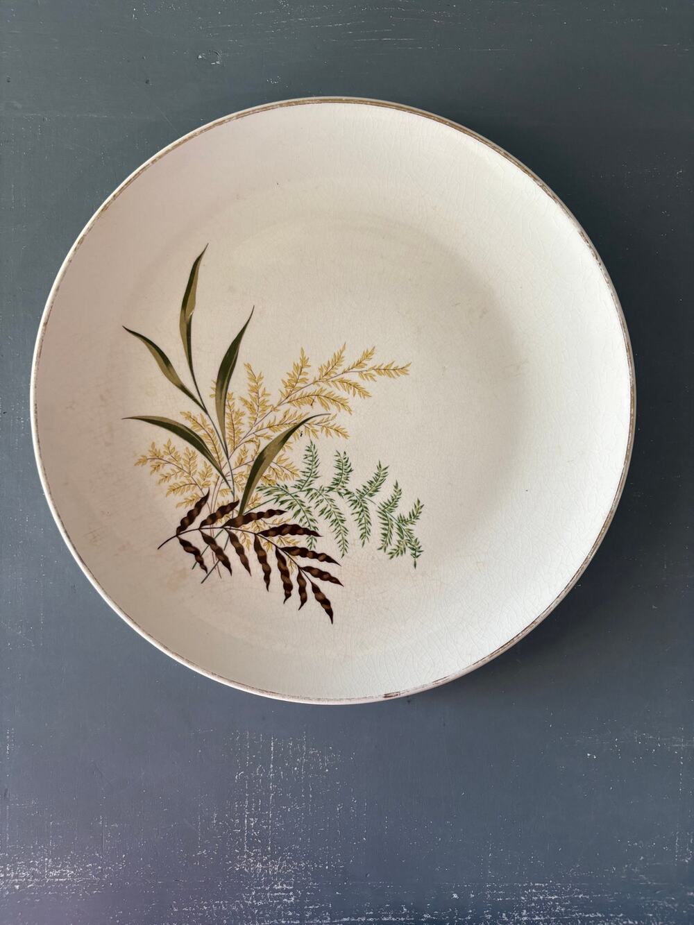 Vintage 1950s Mount Clemens Pottery Fantasy 10.5” Dinner Plate Botanical